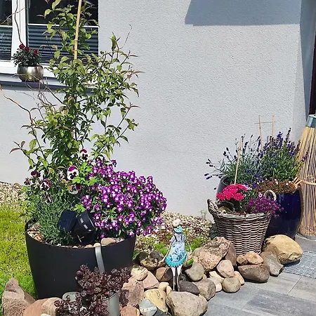 Seasunflowers Gdynia