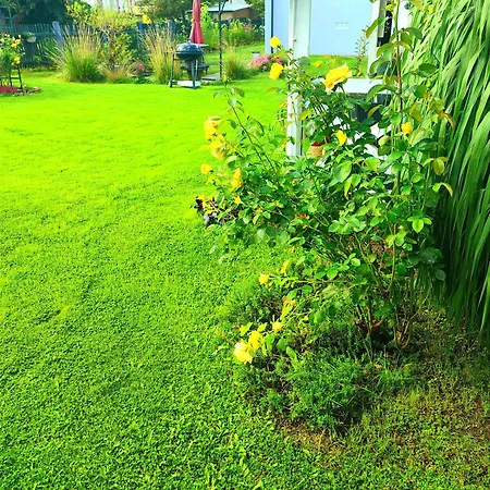 Apartmán Seasunflowers