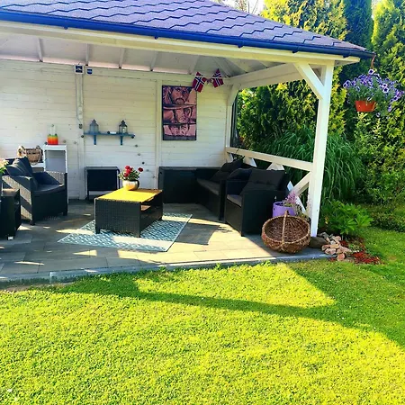 Seasunflowers * Gdynia