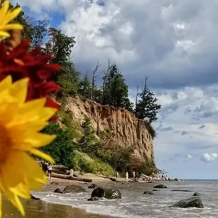 Apartmán Seasunflowers