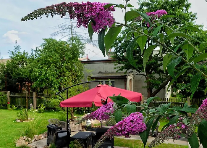 Apartamento Seasunflowers