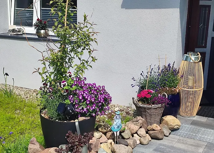 Seasunflowers Gdynia