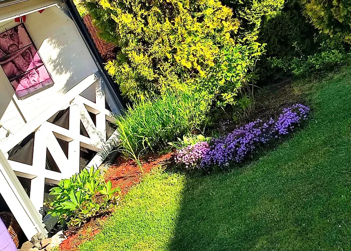 Seasunflowers * Gdynia