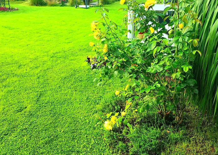 Apartamento Seasunflowers